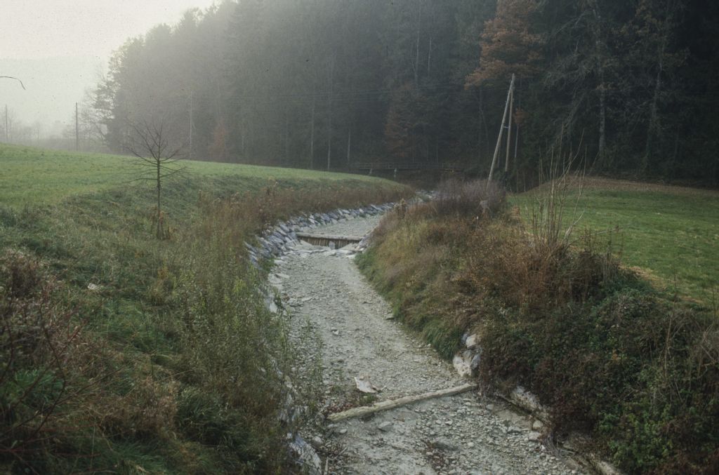 Dussnang, Oberwangen, low water level