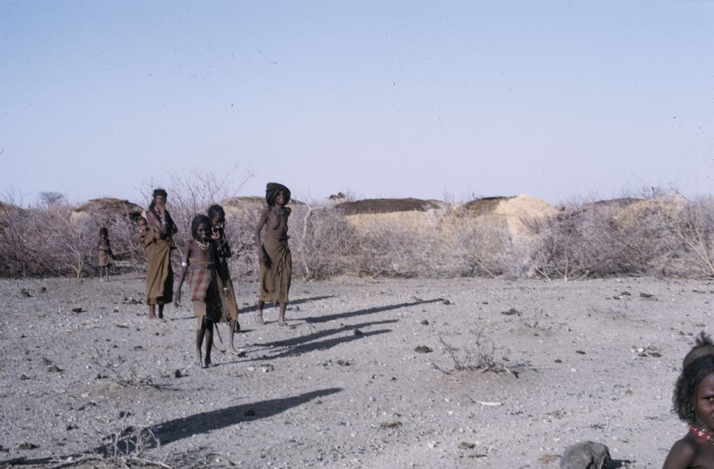 Ethiopia, Awash valley, Danakil settlement