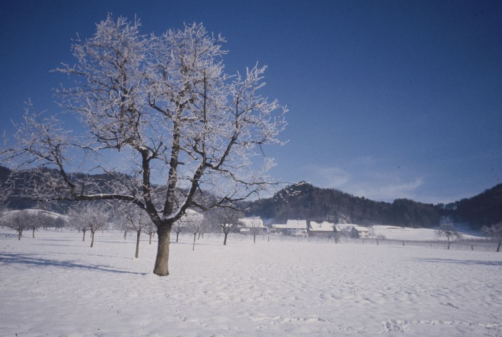 Zurich/Albispass, Sihltal in winter