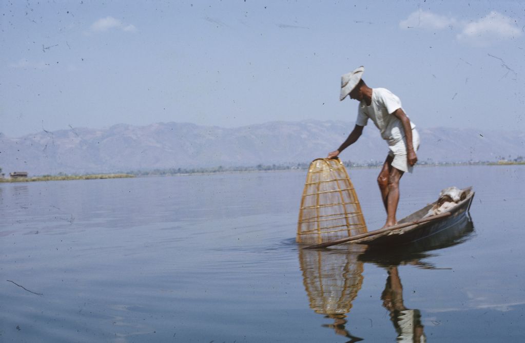 Burma, Inle Lake, fisherman with cone trap