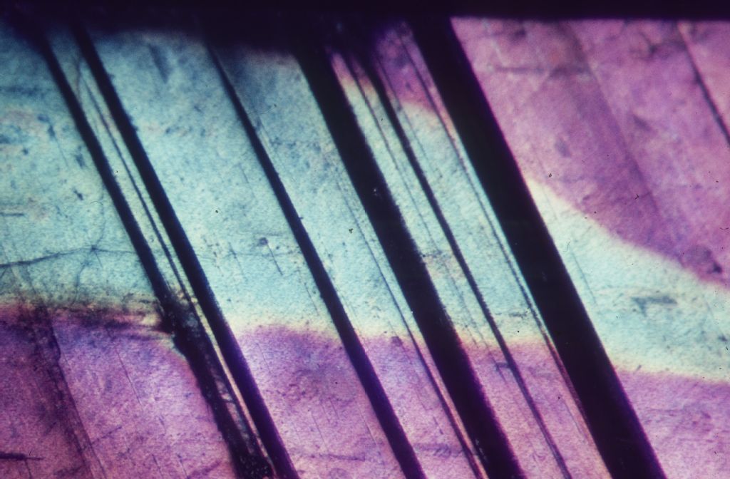 Color play & polysynthetic twin lamellae in spectrolite