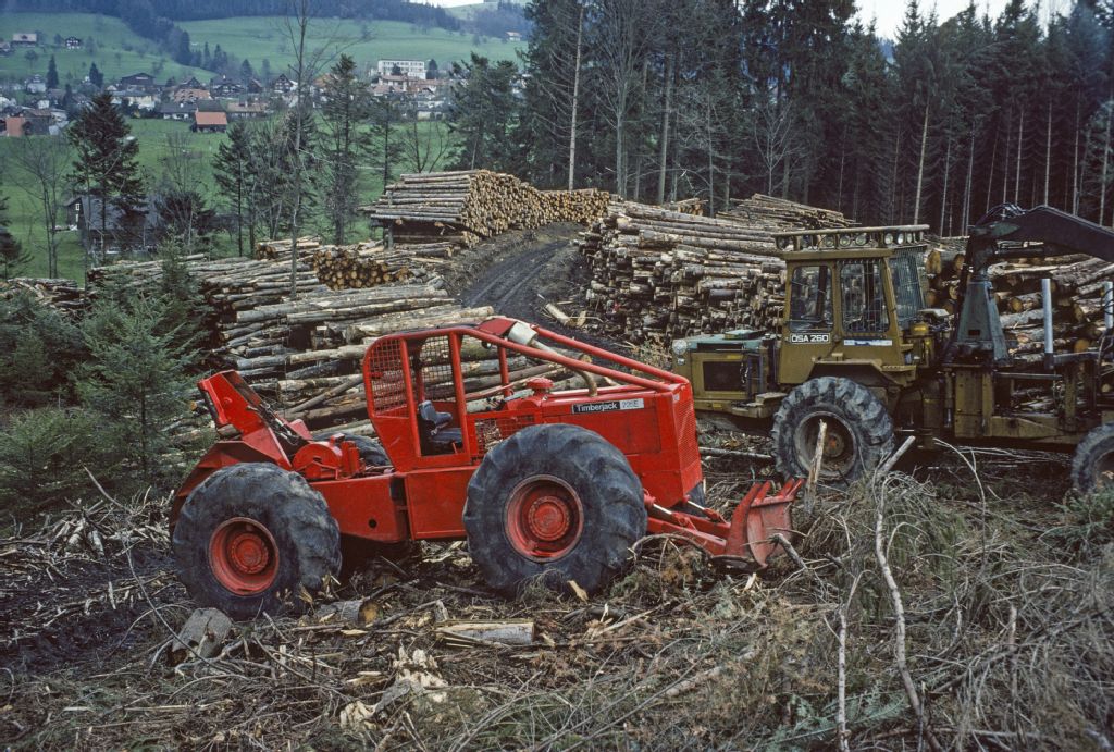 Udligenswil, forest with storm damaged area