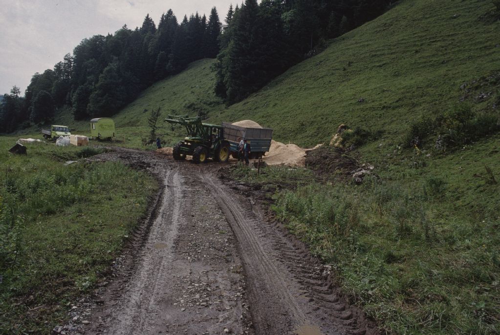 HM 245, Vorder Schwändi, working in Gross Moos, looking west (W) toward Scheidegg