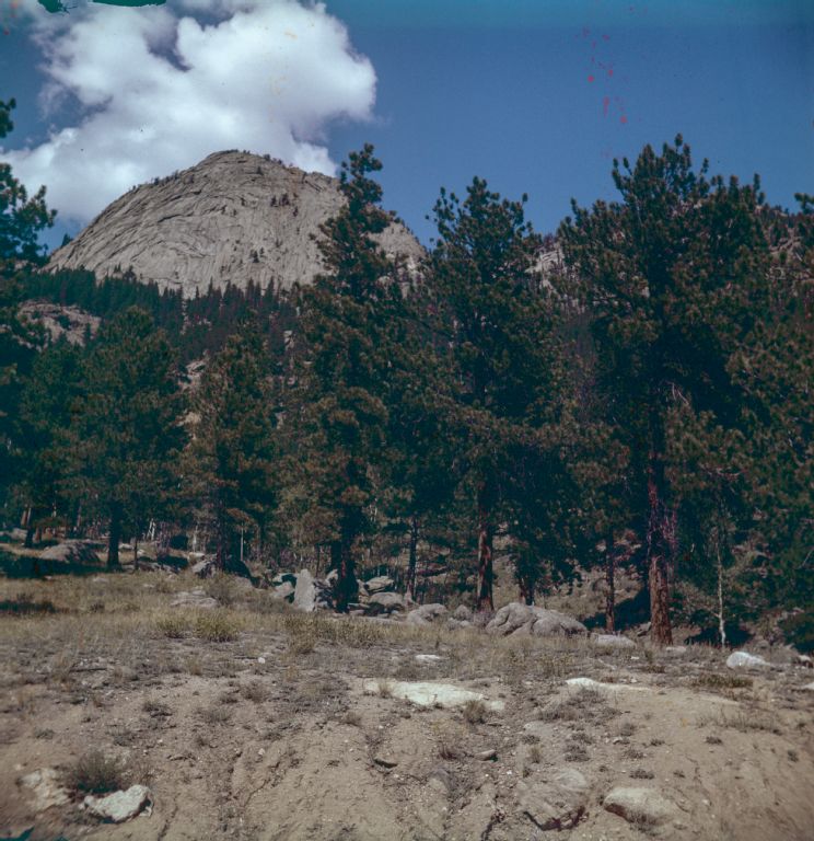 Rocky Mountain, upper stand limit of Pinus ponderosa near Colorado Springs.