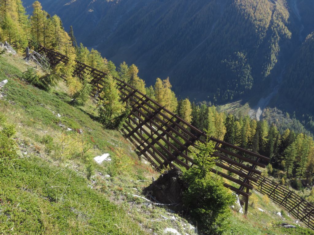 Lötschental, avalanche defense with steel bridges at Wyssriedbaann