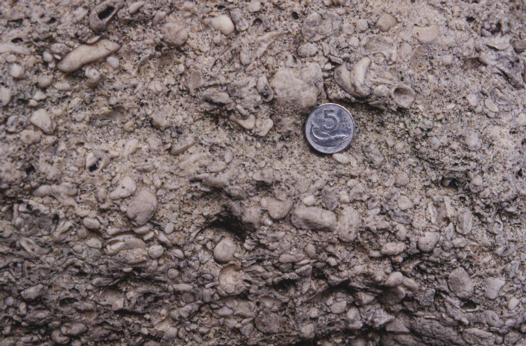 Oncoidal Limestone, Upper Jurassic