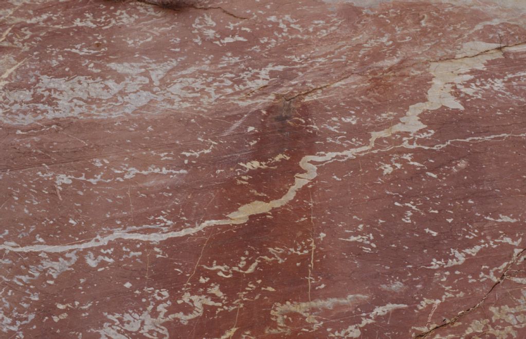 Stromatactis Lst, Devonian