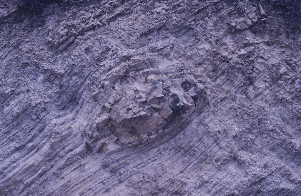 Dolomite nodule in siliceous shale, Siliceous member, Uppper Monterey Fm., M. Miocene