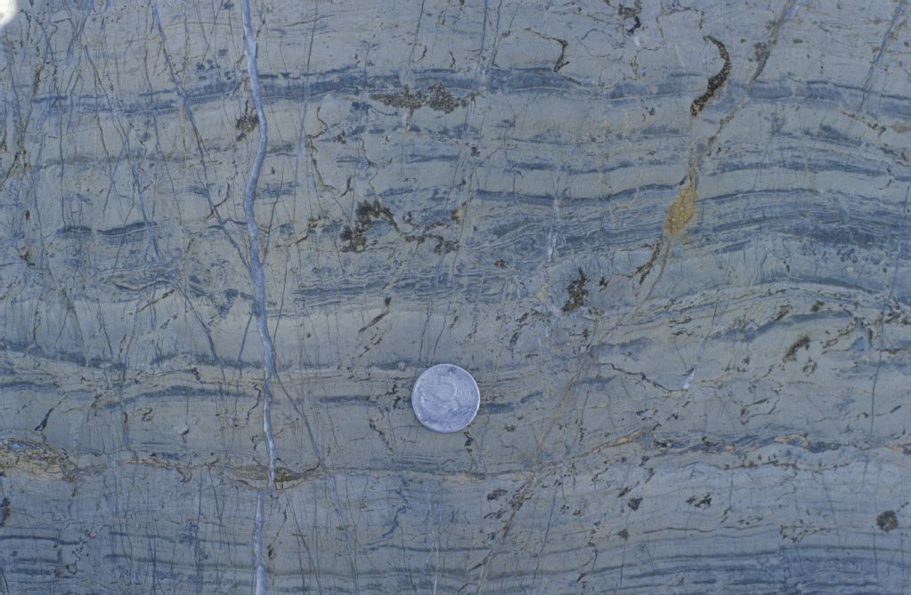Laminated limestone, Kössen Formation, Rhetian