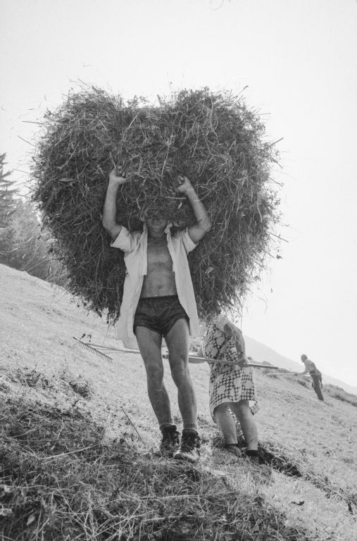 Maderanertal, farmer carrying hay in Schattigbergen area