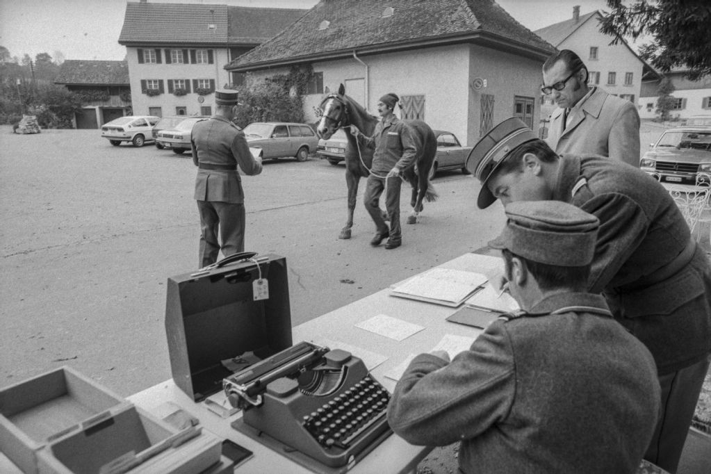 Horse inspection Opfikon, Nürensdorf, Lufingen