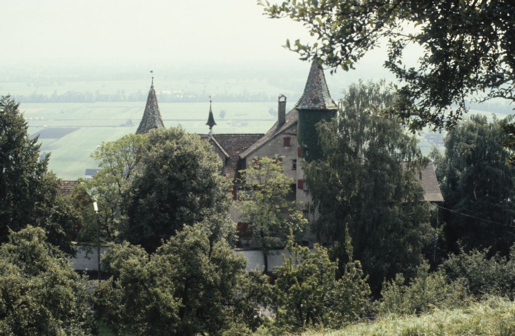 Marbach, Castle Weinstein