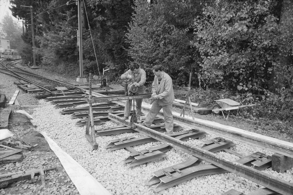 Uetlibergbahn, insertion of new tracks