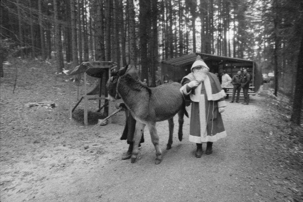 Busswil, Santa Claus in the forest