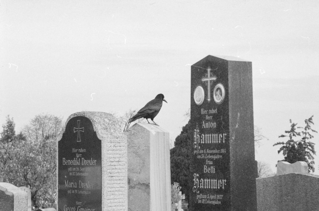 Vienna, Ottakring Cemetery on All Saints' Day