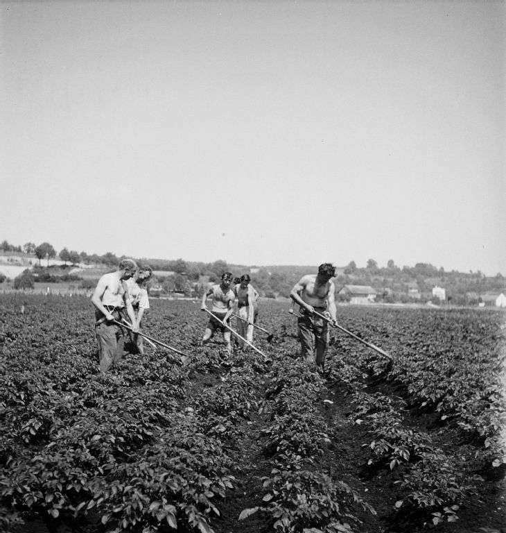 Field work by Swissair personnel and outside workers