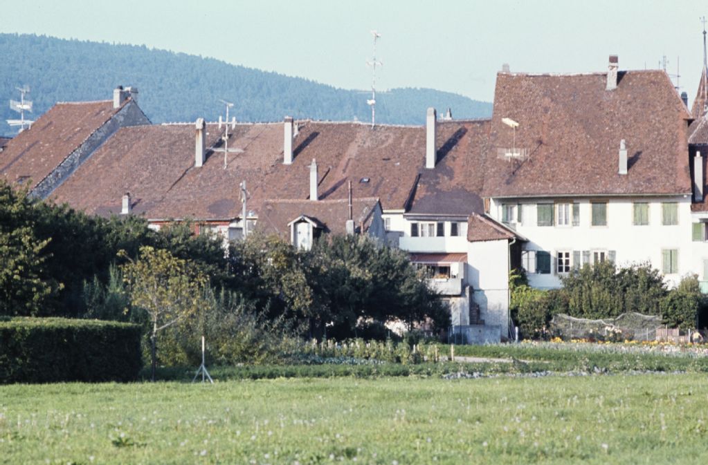 Le Landeron, From West