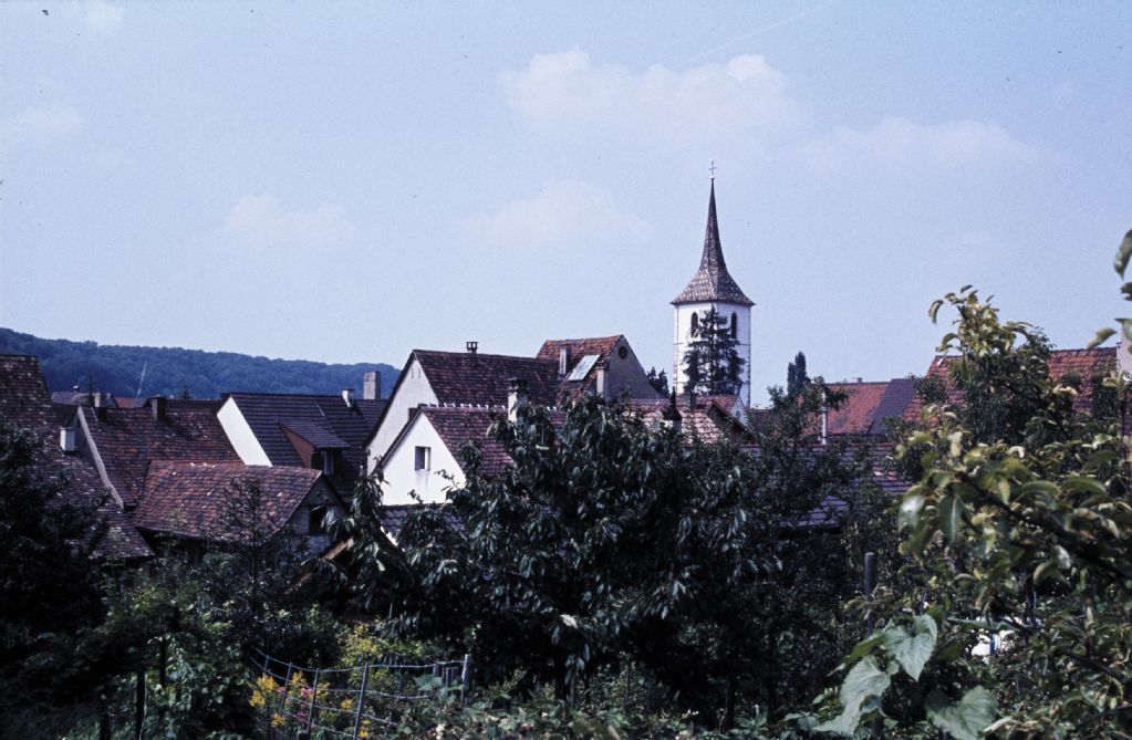 Muttenz, general view from the gardens, tower of the fortified church St. Arbogast