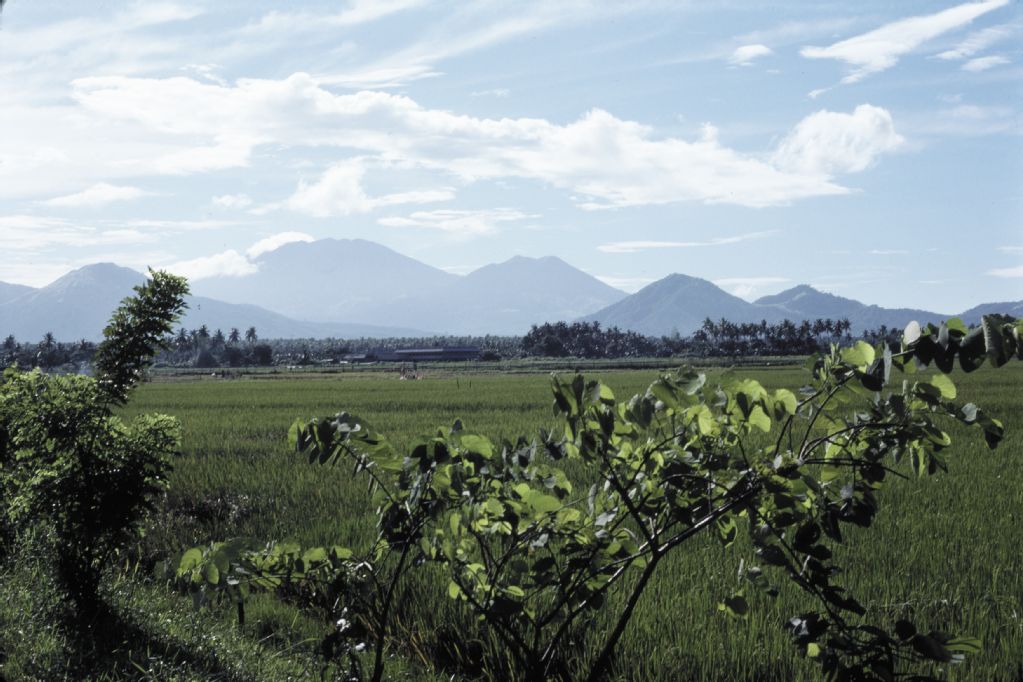 Volcanoes east of Manila, rice fields