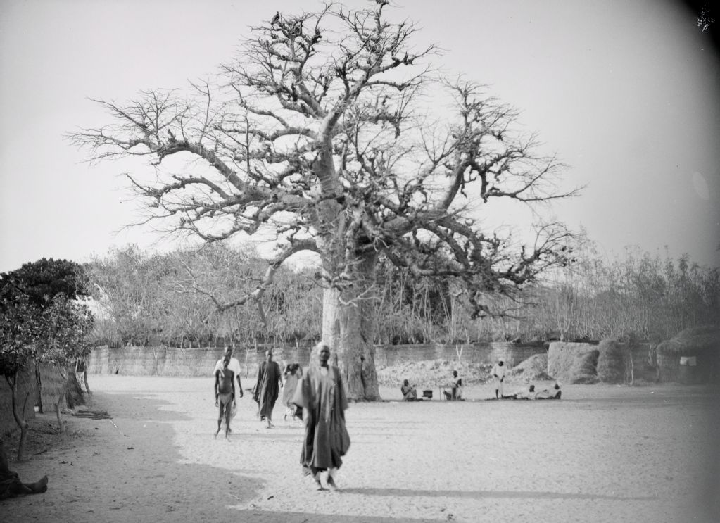 Gruppe Menschen unter einem grossen Baum auf einem Platz in einer afrikanischen Stadt