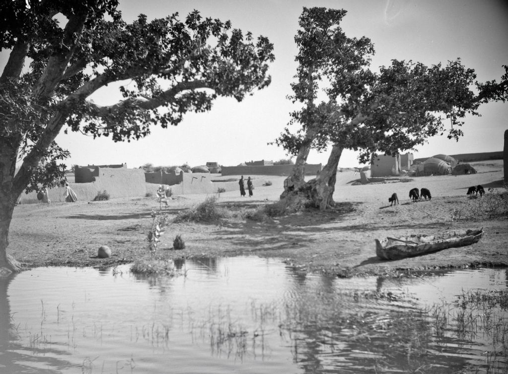 Gao: riverside landscape on the Niger
