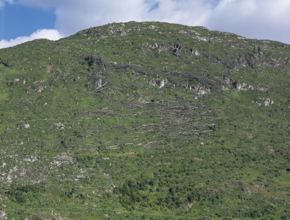 Disentis/Mustér GR, northwest view of the Uaul Cavorgia-Funtauna experimental area.