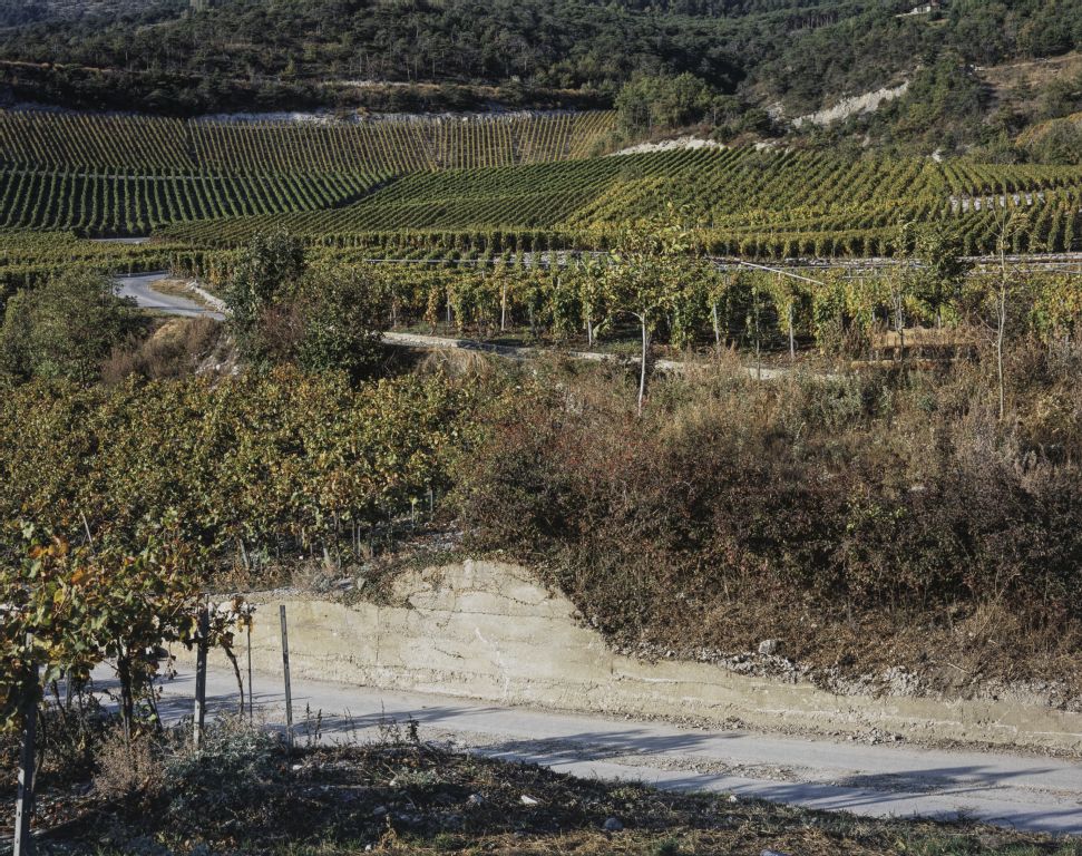 Varen VS, In the vineyard Püelete west of the village Varen