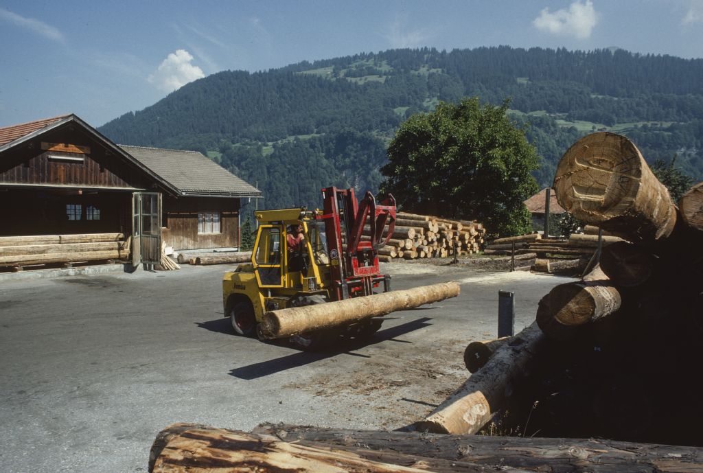Fideris GR, On the forecourt of the municipal sawmill