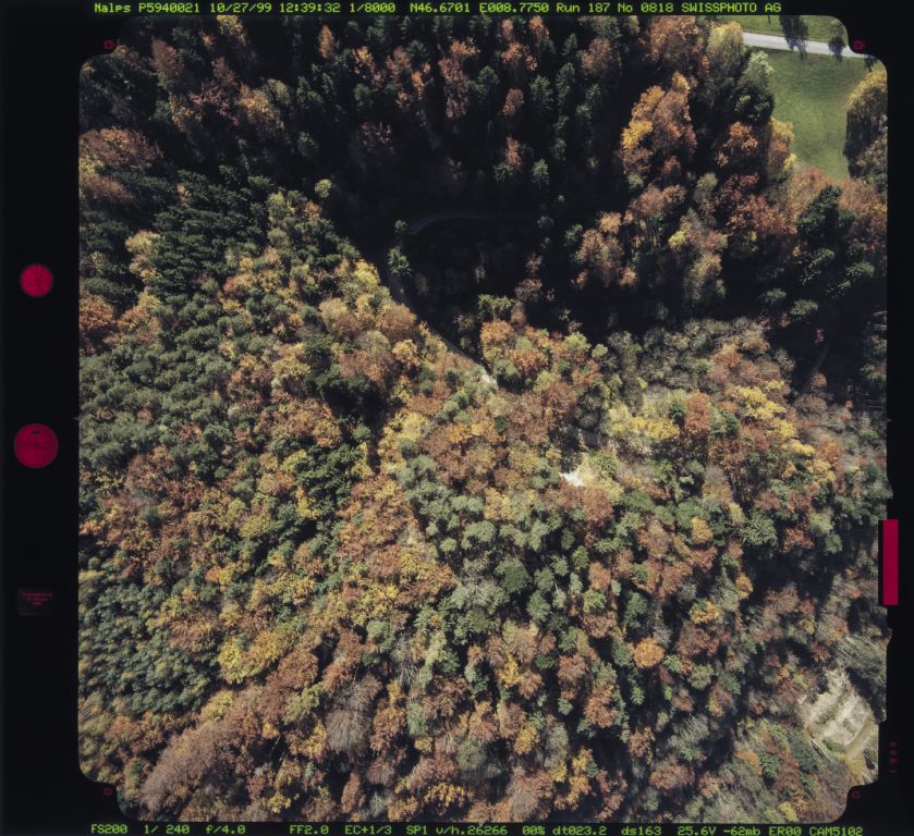 Schlatt, Röhrlitobel, autumn forest, view to south-southwest (SSW)