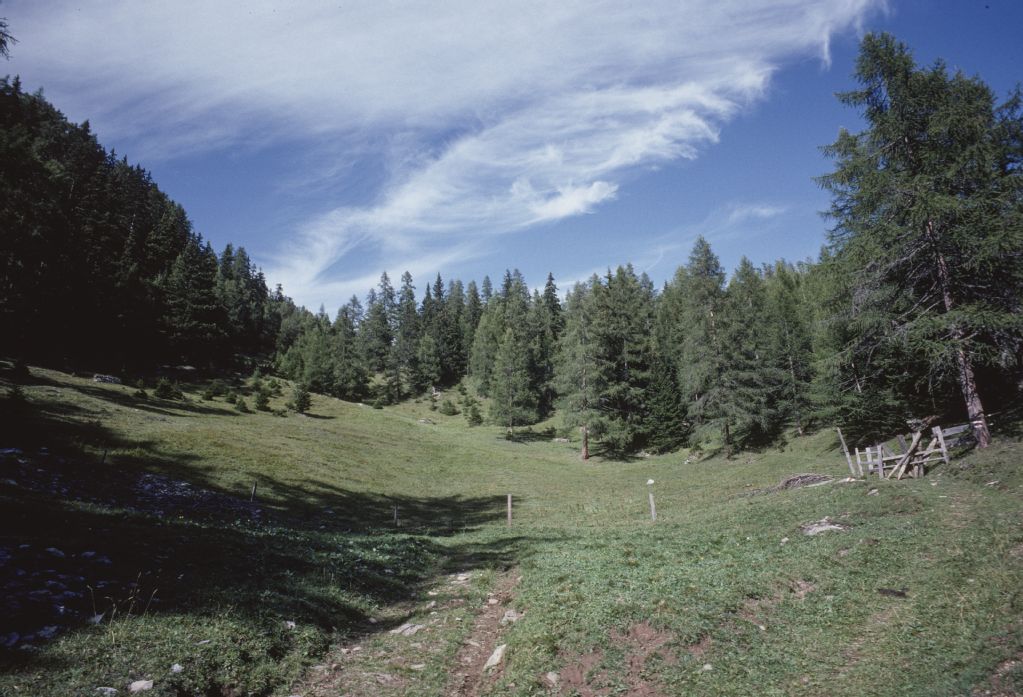 Haldenstein GR, On Alp Funtanolja in the Calanda