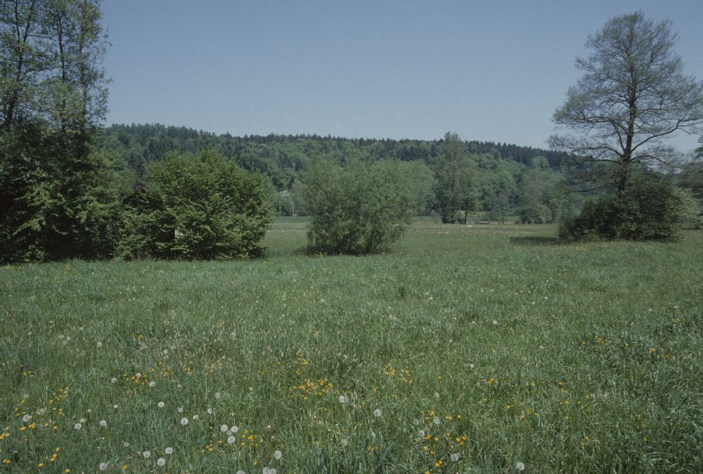 Roggwil BE, southeast view of the Wässermatten Brunnmatten west of the settlement Weibelacher