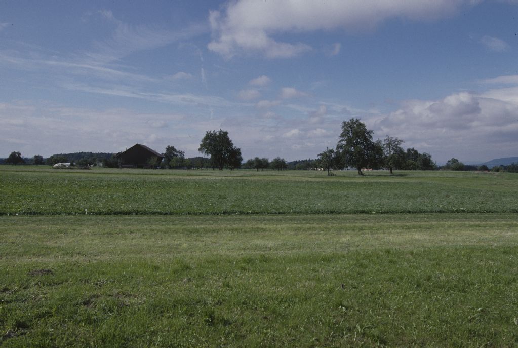 Hohentannen TG, southeast view of the meadow Hööi with orchards south of Heldswil