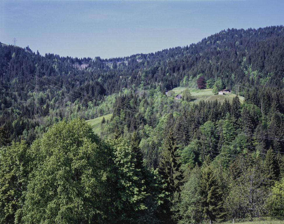 Entlebuch LU, east view of the afforestation on the eastern slope with the hamlets of Folleneggli and Alpili, in the background Wissenegg and Alpiliegg.