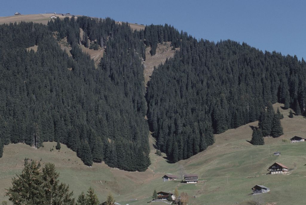 Adelboden BE, Südansicht des Südhanges mit dem Röschttal, Stigelschwand und Wannegg, im Hintergrund Schwandfäl und Schwandfälspitz