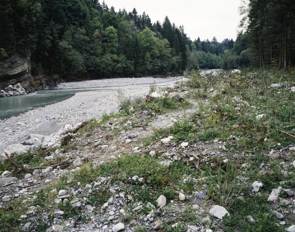 Reutigen BE, Spiez BE, bank and riverbed of the Kander at km 3.70 in the Augand