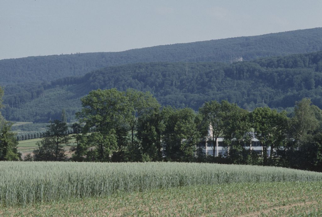 Bättwil, Witterswil SO, north view of the northern slope Witterswiler and Bättwiler Berg, in the foreground the Egg field
