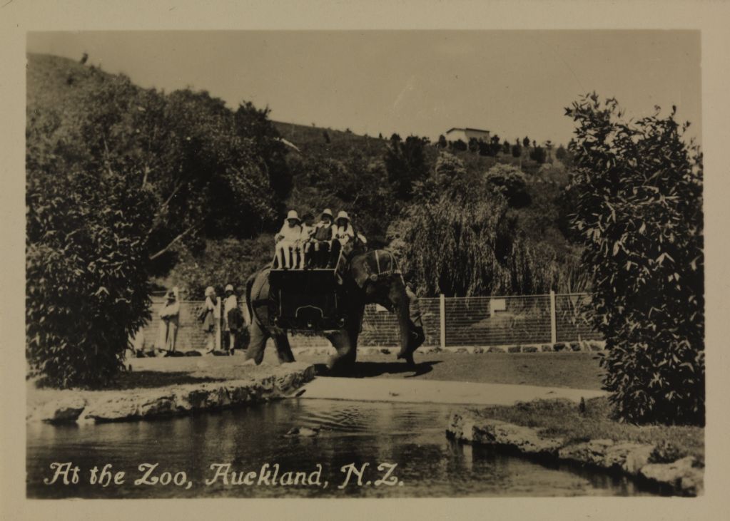 At the Zoo, Auckland, N.Z.