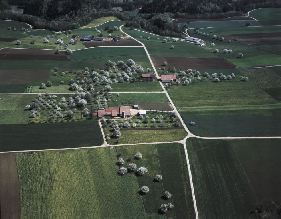 Fields in Fricktal, Chornbergebni ob Ueken