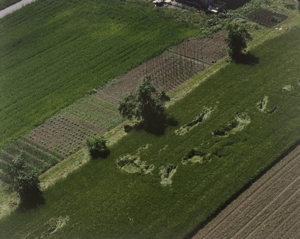 Fields near Kloten