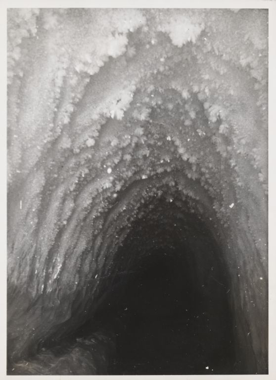 Adit entrance, frost formation, 27.03.1950