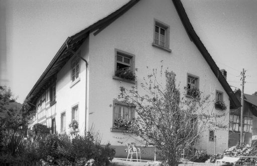 Berg am Irchel, Oberhof 29, N and E sides