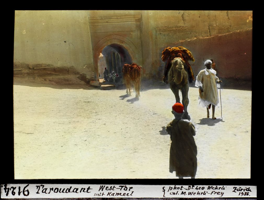 Taroudant, West Gate with camel [Camel]