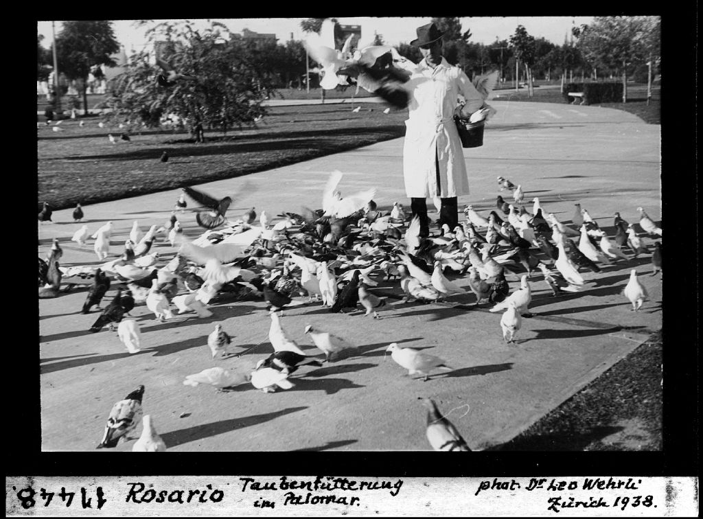 Rosario, feeding pigeons at the Palomar