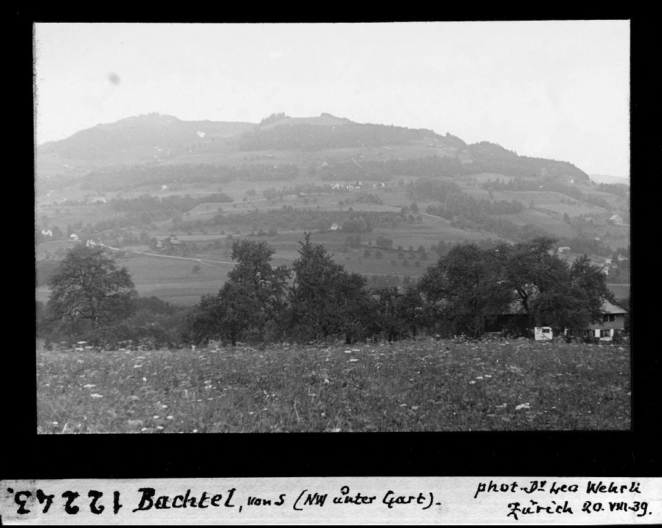 Bachtel, from the south (northwest under Gart)