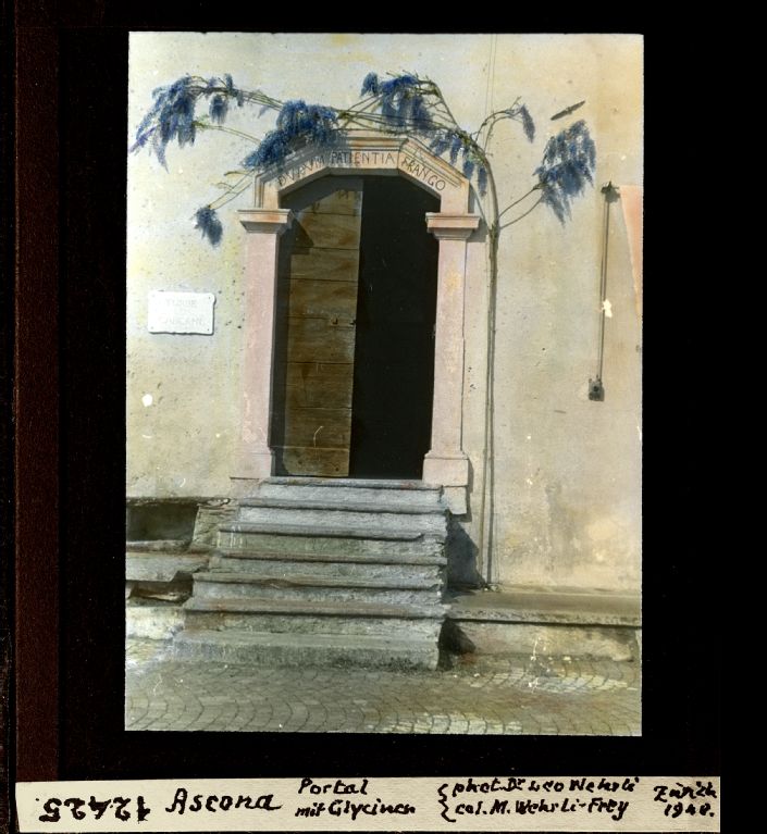Ascona, portal with glycines