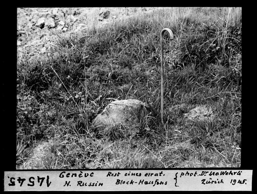 Genève, remnant of an erratic block pile, north of Russin