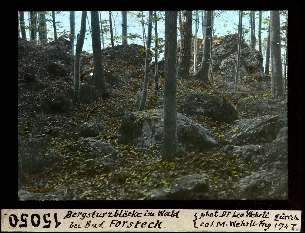 Landslide blocks in the forest near Bad Forsteck
