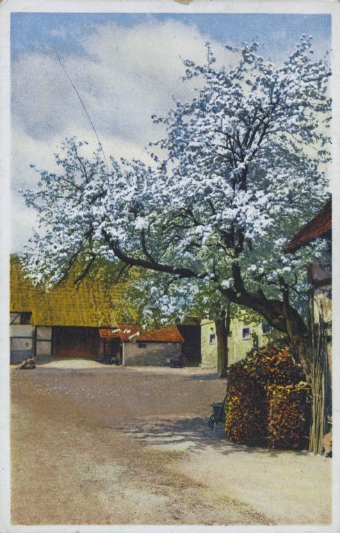 Farm with flowering tree