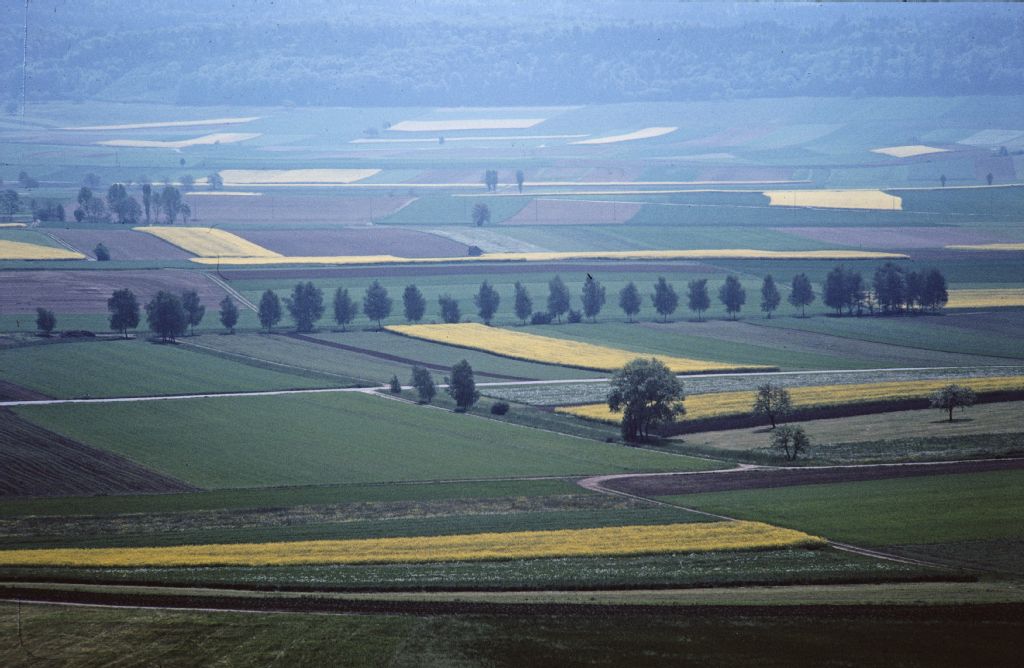 Klettgau, agricultural landscape