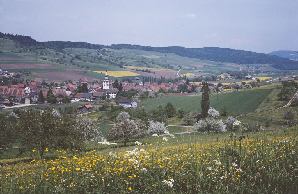 Schleitheim, harmonious landscape with good ecological connectivity